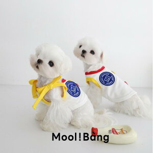 ybgEFA  킢 t@bV  L m ߑ MooliBang ^  xXg TXy_[ }`[Y V[Y[ z[