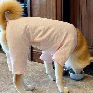 ybgEFA  킢 t@bV  L m ߑ H~ G jo[T 4{ WJ[h K g S[fgo[