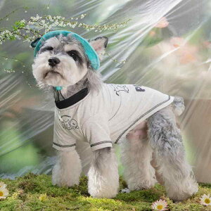 ybgEFA  킢 t@bV  L m ߑ efB rV ViEU[ ^ ^