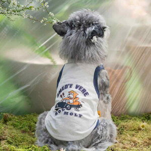 ybgEFA  킢 t@bV  L m ߑ xXg   efB R[M[ ViEU[ 