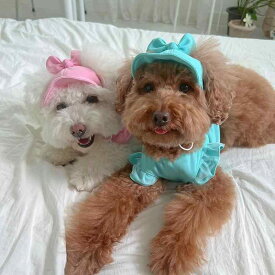 ペットウェア おしゃれ かわいい ファッション 犬 猫 洋服 衣装 ベスト テディベア ポメラニアン 夏 帽子