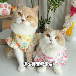 ybgEFA  킢 t@bV  L m ߑ ĕ іh~ ^ ^ ^ XJ[g xXg ԕ