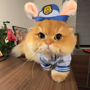 ybgEFA pi U [h Xgbv ANZT[ x@ RXv  L 킢 ߑ ʐ^ 