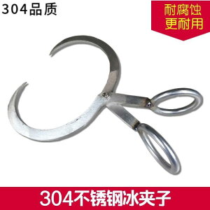 ^ ACXgO Ɩp tg VO H q 傫X  p nK[