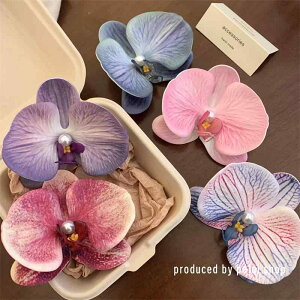 O Nbv TChNbv wANbv  fB[X wAANZT[ փA[X^C wAAW 킢