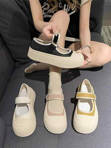 T_ Xbp  AEghA  fB[X 킢  C t LoX JWA V[Y  \