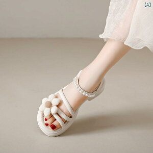 XChT_Oo ėp ʋC tH[ JWA W[ r[`  킢 Y t@bV fB[X qp