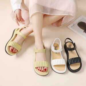 XChT_Oo ėp ʋC tH[ JWA W[ r[`  킢 Y t@bV fB[X ubN zCg CG[