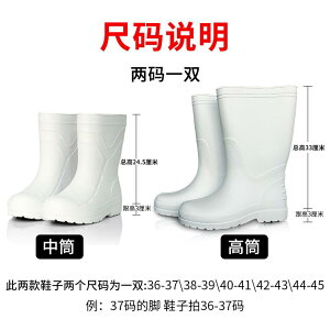 C Sh ~ߕt hh~ Ռz Jی H ƌC CV[Y u[c AEghA tBbVO ubN zCg