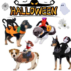 ybgEFA hbOEFA  ߑ ptH[}X t@bV JWA RXv 