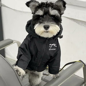 ybgEFA hbOEFA  ߑ ptH[}X t@bV JWA RXv  ubN u[ IW