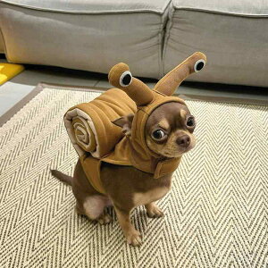 ybgEFA hbOEFA  ߑ ptH[}X t@bV JWA RXv  J^c