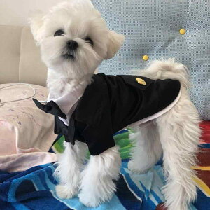 ybgEFA hbOEFA  ߑ ptH[}X t@bV JWA RXv  ubN