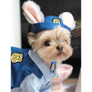 ybgEFA hbOEFA  ߑ ptH[}X t@bV JWA RXv 