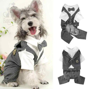 ybgEFA hbOEFA  ߑ ptH[}X t@bV JWA RXv  u[ O[