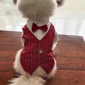 ybgEFA hbOEFA  ߑ ptH[}X t@bV JWA RXv 