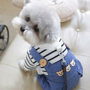 ybgEFA hbOEFA  ߑ ptH[}X t@bV JWA RXv 