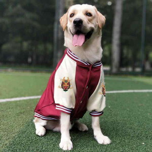 ybgEFA hbOEFA  ߑ ptH[}X t@bV JWA RXv 