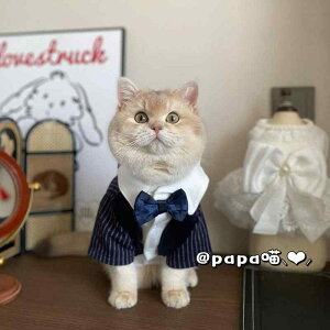 ybgEFA hbOEFA  ߑ ptH[}X t@bV JWA RXv 