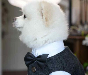 ybgEFA hbOEFA  ߑ ptH[}X t@bV JWA RXv 