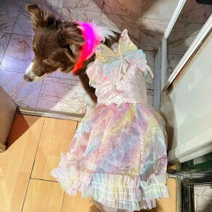 ybgEFA hbOEFA  ߑ ptH[}X t@bV JWA RXv 