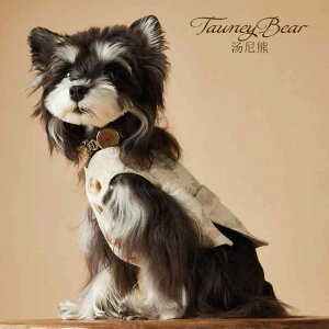 ybgEFA hbOEFA  ߑ ptH[}X t@bV JWA RXv 