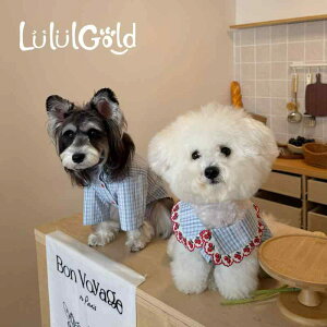 ybgEFA hbOEFA  ߑ ptH[}X t@bV JWA RXv 