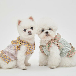 ybgEFA hbOEFA  ߑ ptH[}X t@bV JWA RXv 