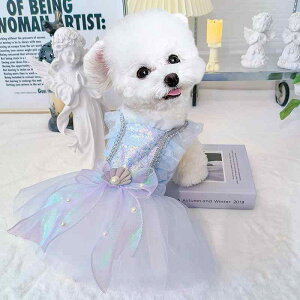 ybgEFA hbOEFA  ߑ ptH[}X t@bV JWA RXv 