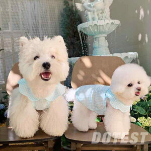 ybgEFA  킢 t@bV  L m ߑ DOTEST   ~N u[ ԕ TXy_[ xXg rV ViEU[