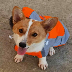 ybgEFA  킢 t@bV  L m ߑ Atpet AEghA h ^ CR[g