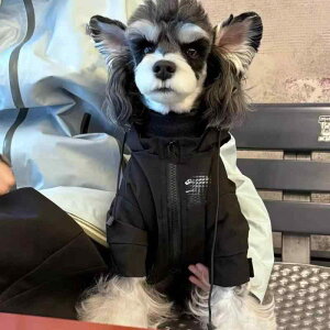 ybgEFA  킢 t@bV  L m ߑ efB rV ViEU[ t`uhbO H~ g R[g WPbg