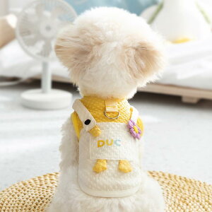 ybgEFA  킢 t@bV  L m ߑ ĕ xXg efB |jA rVt[[ tH[ ViEU[  [ht