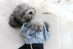 ybgEFA pi U [h Xgbv ANZT[ GIOCO GIOCHI   L    Ղ 