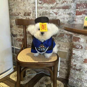 ybgEFA pi U [h Xgbv ANZT[  nI ϐg m LV[ RXv