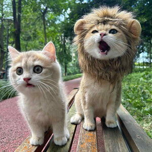 ybgEFA pi U [h Xgbv ANZT[ CI L wbh Jo[ 킢 Xq 