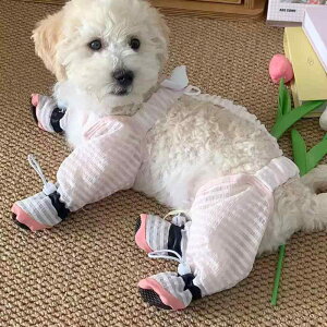 ybgEFA pi U [h Xgbv ANZT[ ^ ^ p O hA I[o[ I[ efB tbgJo[ l V[YJo[