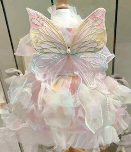 ybgEFA  킢 t@bV  L m ߑ C{[ tFA[ t@^W[ sN ̉H t rV efB v[h S[fgo[ R[M[ tFA