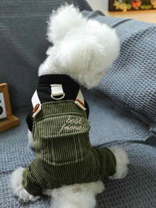 ybgEFA  킢 t@bV  L m ߑ ViEU[ rV |jA efB I[o[ I[ l{ tH ^ JWA