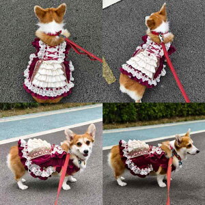 ybgEFA  킢 t@bV  L m ߑ t ɔ R[M[ t`uhbO Ch XJ[g { Pl