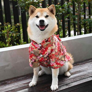 ybgEFA  킢 t@bV  L m ߑ `Ci  R[M[ efB  X[c   