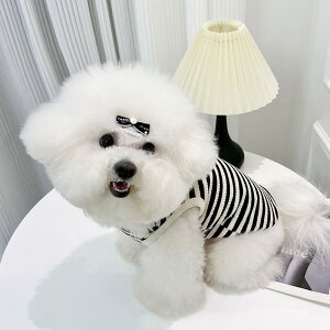 ybgEFA  킢 t@bV  L m ߑ tH  efB rV ^ K  XgCv xXg {[_[