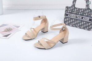 T_ ST_ fB[X EFbW\[ NX{[_[ 2024 ΊO AJ 傫TCY \bhJ[ EhgD t@bV  C obN fB[X nC