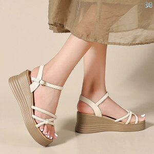 T_ ST_ fB[X EFbW\[ 2025 EFbWT_ fB[X   vbgtH[ V[Y nCq[ C  TCY t@bV g L΂ fB