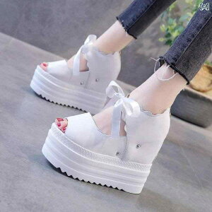 T_ ST_ fB[X EFbW\[ Ă fI tBbV }EX EFbWT_ iCgNu q[V[Y h  C   Ci[  fB[X C