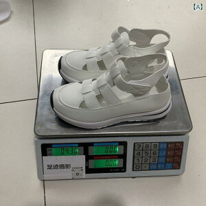 T_ ST_ fB[X EFbW\[ p NX{[_[ 傫TCY EFbWT_ 2025NłȂ AJ p 傫TCY  T_ K ʋCB