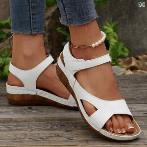 T_ ST_ fB[X EFbW\[  AWA EFbW q[  T_ p NX{[_[ 傫TCY  C tBbV }EX