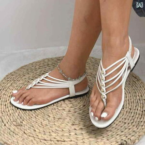 T_ ST_ fB[X EFbW\[ NX{[_[ 傫TCY p tbg T_ 2025 Ă̂ AJ t@bV JWA V[Y K ʋC