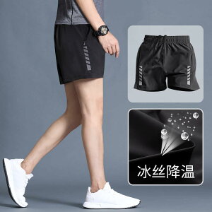 z ڐG⊴ Ђ  jOEFA@X|[c@Y X|[c V[c Y  ⊴ fB[X jO r[` }\    tBbglX g[j