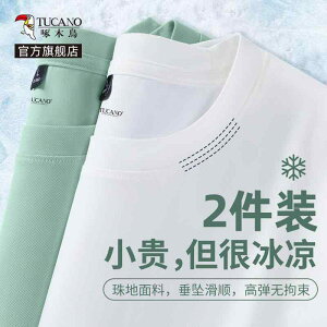 W ^ g[jOEFA X|[cEFA jOEFA@X|[c@Y Woodpecker Y X|[c     ⊴ N[ tBbglX g[jO jO TVc